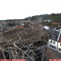 17_20-nest.jpg