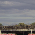 17_25-mast.jpg