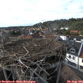 17_25-nest.jpg