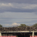 17_30-mast.jpg