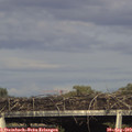 17_35-mast.jpg