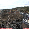 17_35-nest.jpg