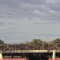 17_40-mast.jpg