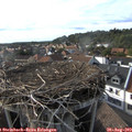 17_40-nest.jpg