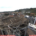 17_45-nest.jpg