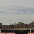 17_50-mast.jpg