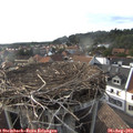 18_05-nest.jpg