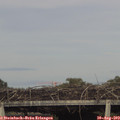 18_10-mast.jpg