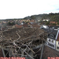 18_10-nest.jpg