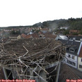 18_15-nest.jpg