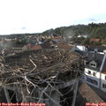 18_25-nest.jpg