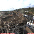 18_30-nest.jpg