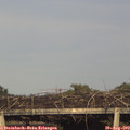 18_35-mast.jpg