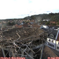 18_35-nest.jpg