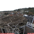 18_40-nest.jpg