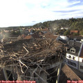 18_45-nest.jpg