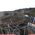19_00-nest.jpg