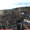 19_10-nest.jpg