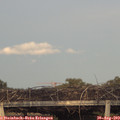 19_15-mast.jpg