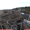 19_15-nest.jpg