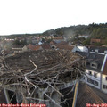 19_25-nest.jpg