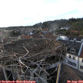 19_30-nest.jpg