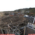 19_35-nest.jpg
