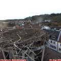 19_40-nest.jpg