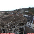 19_45-nest.jpg