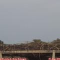 19_50-mast.jpg