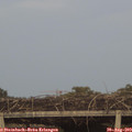 19_55-mast.jpg