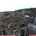 19_55-nest.jpg