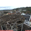 06_50-nest.jpg