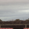06_55-mast.jpg