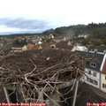 06_55-nest.jpg