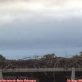 07_00-mast.jpg