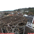 07_00-nest.jpg