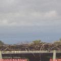 07_05-mast.jpg