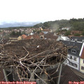 07_05-nest.jpg