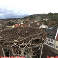 07_10-nest.jpg