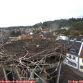 07_25-nest.jpg