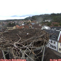 07_30-nest.jpg
