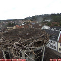 07_35-nest.jpg