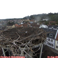 07_40-nest.jpg