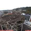 07_45-nest.jpg
