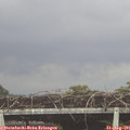 07_50-mast.jpg