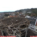 07_55-nest.jpg