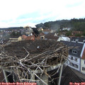 08_10-nest.jpg