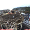 08_15-nest.jpg