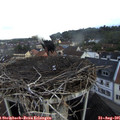 08_25-nest.jpg